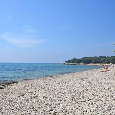 House Anton Barbariga